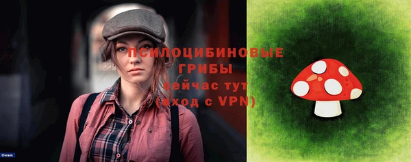 ПСИЛОЦИБИНОВЫЕ ГРИБЫ Лиски