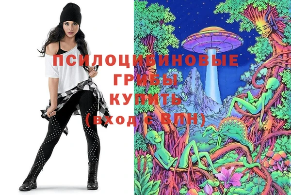 ПСИЛОЦИБИНОВЫЕ ГРИБЫ Лиски