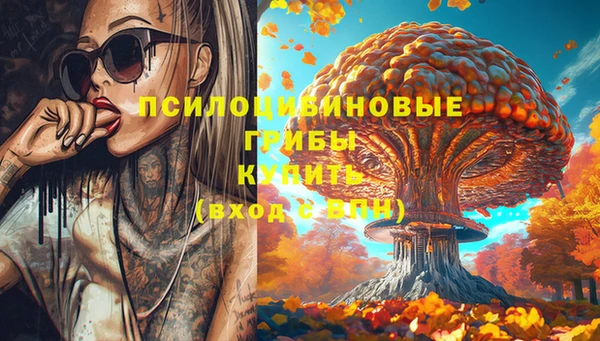 соль ск Липки