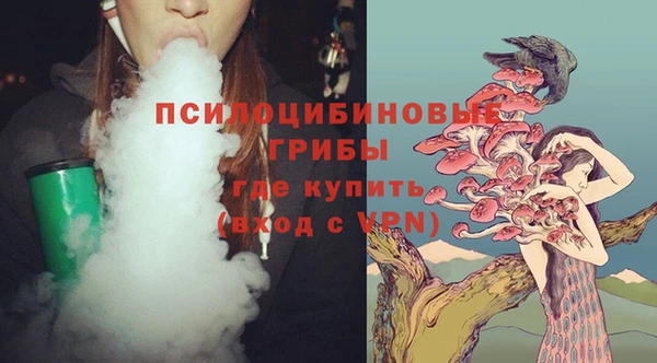 ПСИЛОЦИБИНОВЫЕ ГРИБЫ Лиски
