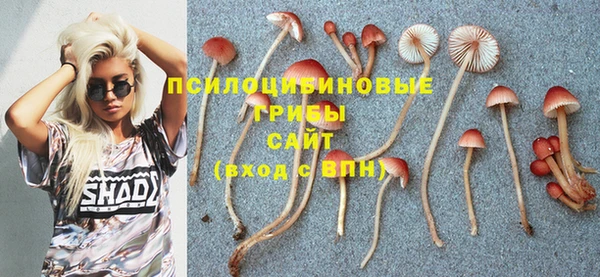 спиды Нея