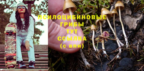 ПСИЛОЦИБИНОВЫЕ ГРИБЫ Лиски
