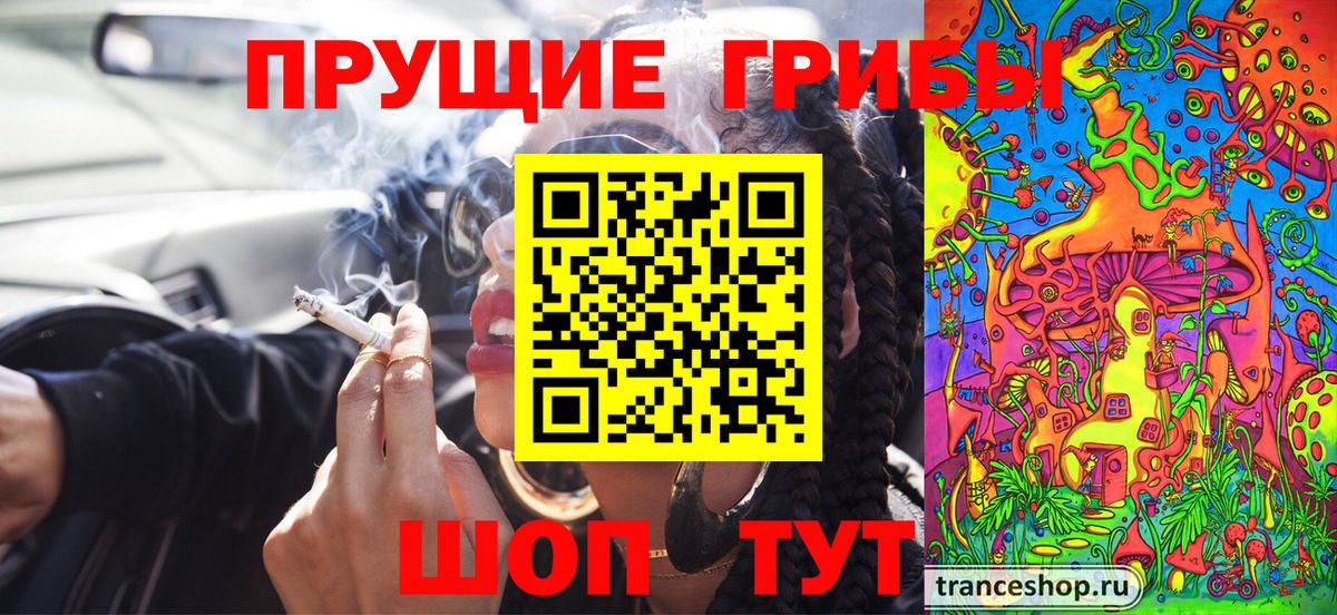 где можно купить наркотик  Галлюциногенные грибы MAGIC MUSHROOMS  Вход с VPN  Красногорск 